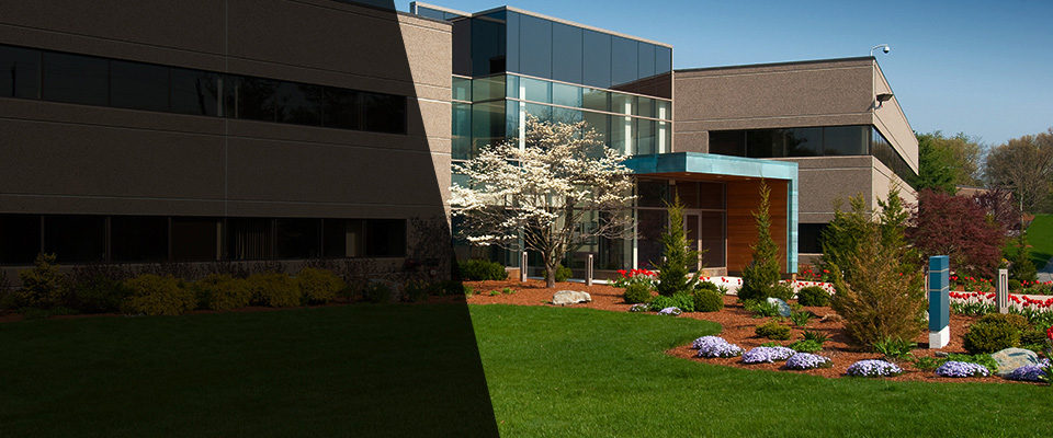 South Yarmouth Landscapers