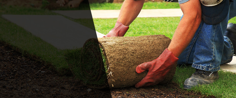 South Yarmouth Landscapers